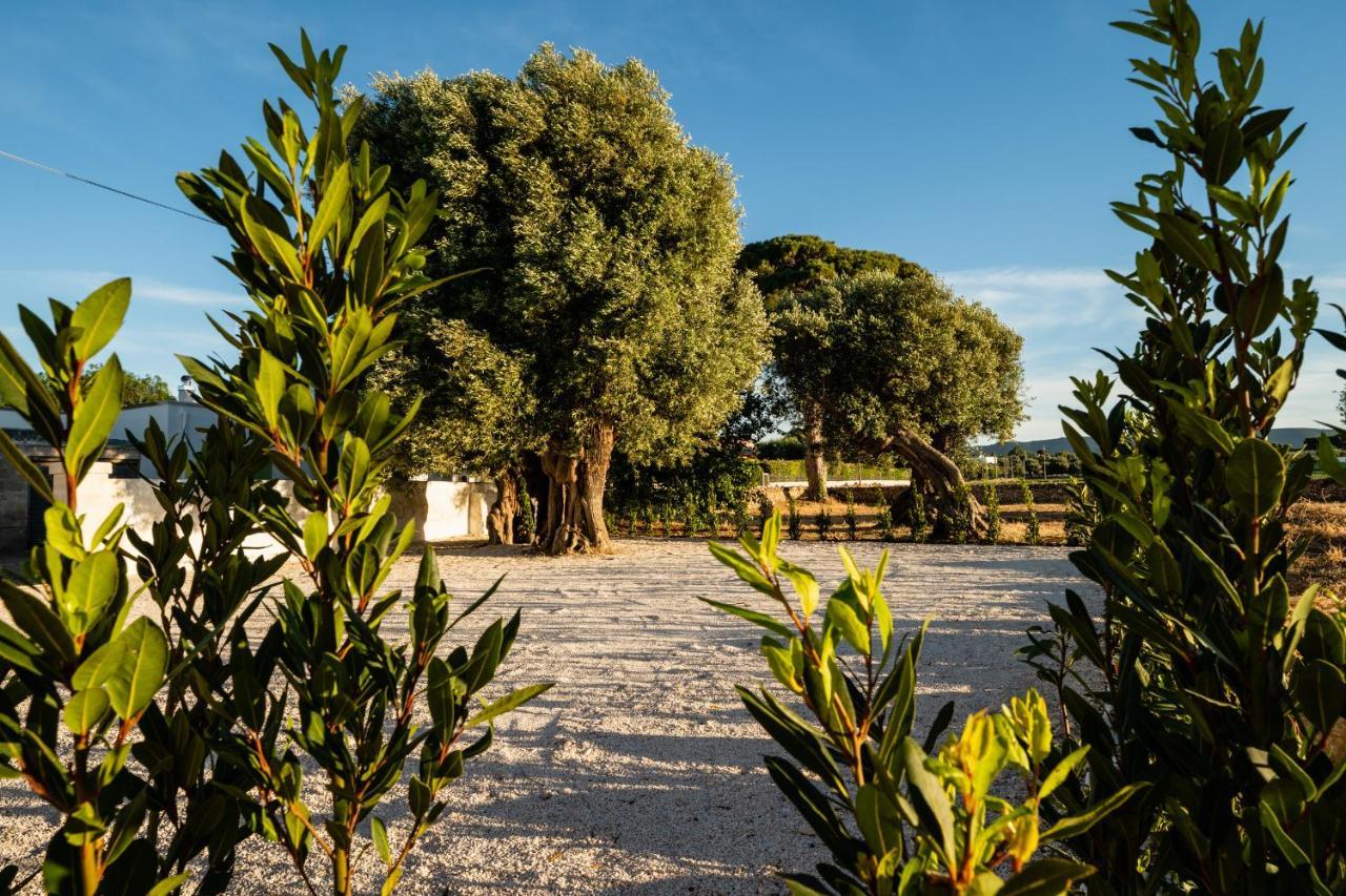 Il Pergolato Sul Mare Villa Monopoli Exteriör bild